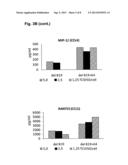 MODULATION OF IMMUNE RESPONSES BY THE POXVIRAL K4 PROTEIN diagram and image