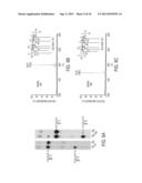 SYNTHETIC LIPID BIOLOGY FOR COMBINATORIAL ENGINEERING OF ENDOTOXIN diagram and image