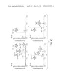 SYNTHETIC LIPID BIOLOGY FOR COMBINATORIAL ENGINEERING OF ENDOTOXIN diagram and image