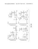 SYNTHETIC LIPID BIOLOGY FOR COMBINATORIAL ENGINEERING OF ENDOTOXIN diagram and image