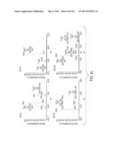 SYNTHETIC LIPID BIOLOGY FOR COMBINATORIAL ENGINEERING OF ENDOTOXIN diagram and image