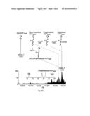 NOVEL TACROLIMUS ANALOGUES, A NEUROPROTECTIVE COMPOSITION COMPRISING THE     SAME, AN IMMUNOSUPPRESSIVE COMPOSITION COMPRISING THE SAME, A METHOD FOR     PREPARING THE SAME, AND A MUTANT FOR PRODUCING THE SAME diagram and image