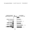 NOVEL TACROLIMUS ANALOGUES, A NEUROPROTECTIVE COMPOSITION COMPRISING THE     SAME, AN IMMUNOSUPPRESSIVE COMPOSITION COMPRISING THE SAME, A METHOD FOR     PREPARING THE SAME, AND A MUTANT FOR PRODUCING THE SAME diagram and image