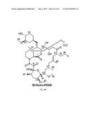 NOVEL TACROLIMUS ANALOGUES, A NEUROPROTECTIVE COMPOSITION COMPRISING THE     SAME, AN IMMUNOSUPPRESSIVE COMPOSITION COMPRISING THE SAME, A METHOD FOR     PREPARING THE SAME, AND A MUTANT FOR PRODUCING THE SAME diagram and image