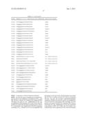 NOVEL TACROLIMUS ANALOGUES, A NEUROPROTECTIVE COMPOSITION COMPRISING THE     SAME, AN IMMUNOSUPPRESSIVE COMPOSITION COMPRISING THE SAME, A METHOD FOR     PREPARING THE SAME, AND A MUTANT FOR PRODUCING THE SAME diagram and image