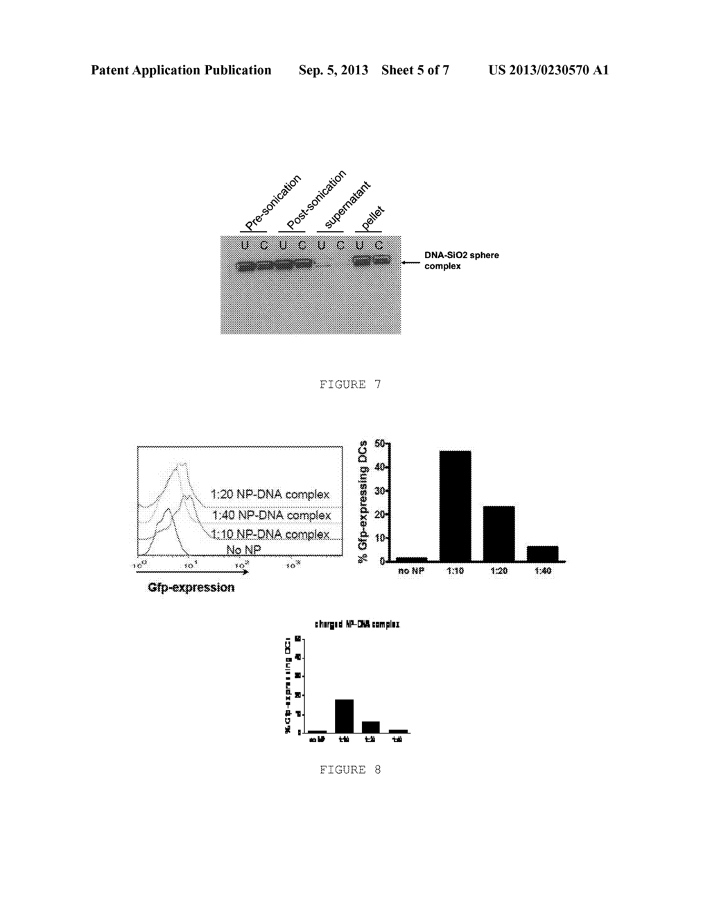 HOLLOW SILICA NANOSPHERES AND METHODS OF MAKING SAME - diagram, schematic, and image 06