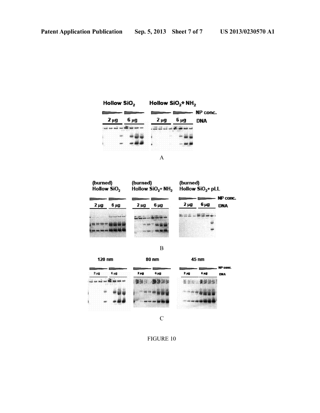 HOLLOW SILICA NANOSPHERES AND METHODS OF MAKING SAME - diagram, schematic, and image 08