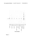 IMMUNOGENIC COMPOSITION COMPRISING NEISSERIA MENIGITIDIS MACROPHAGE     INFECTIVITY POTENTIATOR PROTEIN diagram and image