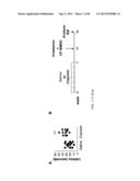 Administration of SNS Neuroprotective Agents to Promote Hematopoietic     Regeneration diagram and image