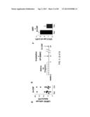 Administration of SNS Neuroprotective Agents to Promote Hematopoietic     Regeneration diagram and image