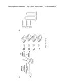 Administration of SNS Neuroprotective Agents to Promote Hematopoietic     Regeneration diagram and image