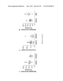 Administration of SNS Neuroprotective Agents to Promote Hematopoietic     Regeneration diagram and image