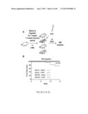 Administration of SNS Neuroprotective Agents to Promote Hematopoietic     Regeneration diagram and image