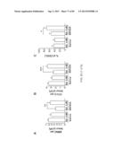 Administration of SNS Neuroprotective Agents to Promote Hematopoietic     Regeneration diagram and image