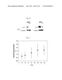 TREATING BLADDER TUMOR CELLS USING FIBRONECTIN ATTACHMENT PROTEIN AS A     TARGET diagram and image