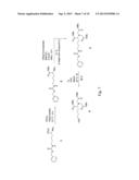 TREATING BLADDER TUMOR CELLS USING FIBRONECTIN ATTACHMENT PROTEIN AS A     TARGET diagram and image