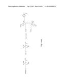 TREATING BLADDER TUMOR CELLS USING FIBRONECTIN ATTACHMENT PROTEIN AS A     TARGET diagram and image