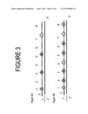 Nanoreporters And Methods Of Manufacturing And Use Thereof diagram and image