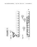 Nanoreporters And Methods Of Manufacturing And Use Thereof diagram and image