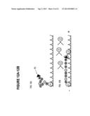 Nanoreporters And Methods Of Manufacturing And Use Thereof diagram and image