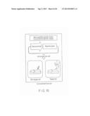 PLASMID VECTOR, METHOD FOR DETECTING GENE PROMOTER ACTIVITY, AND ASSAY KIT diagram and image