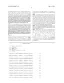 PLASMID VECTOR, METHOD FOR DETECTING GENE PROMOTER ACTIVITY, AND ASSAY KIT diagram and image