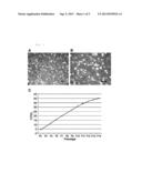 Equine Amniotic Fluid-Derived Multipotent Stem Cells and a Method for     Producing the Same diagram and image