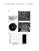 Equine Amniotic Fluid-Derived Multipotent Stem Cells and a Method for     Producing the Same diagram and image