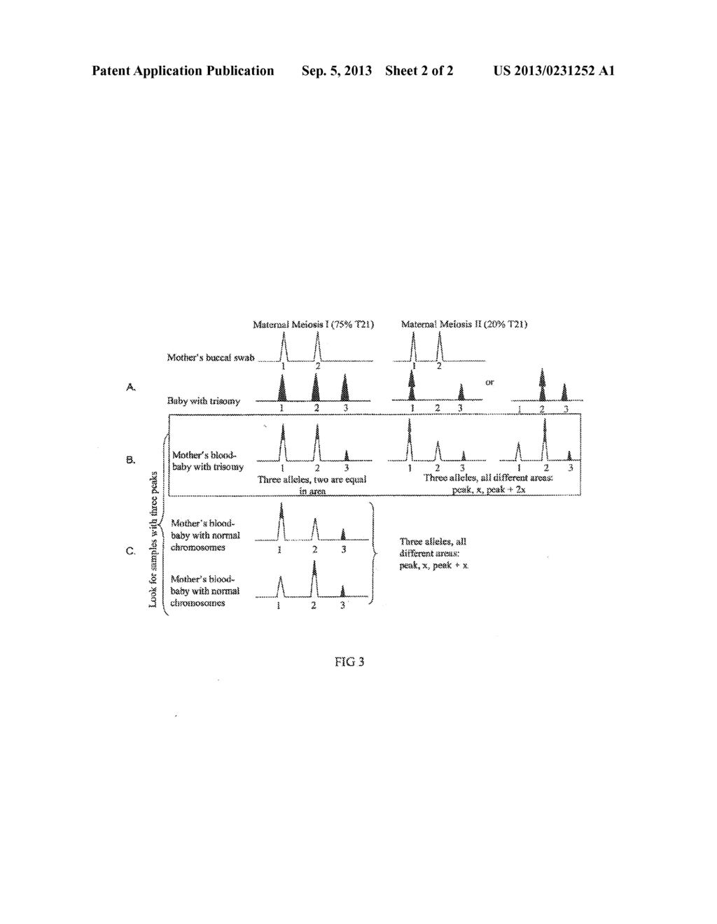 DETECTING FETAL CHROMOSOMAL ABNORMALITIES USING TANDEM SINGLE NUCLEOTIDE     POLYMORPHISMS - diagram, schematic, and image 03