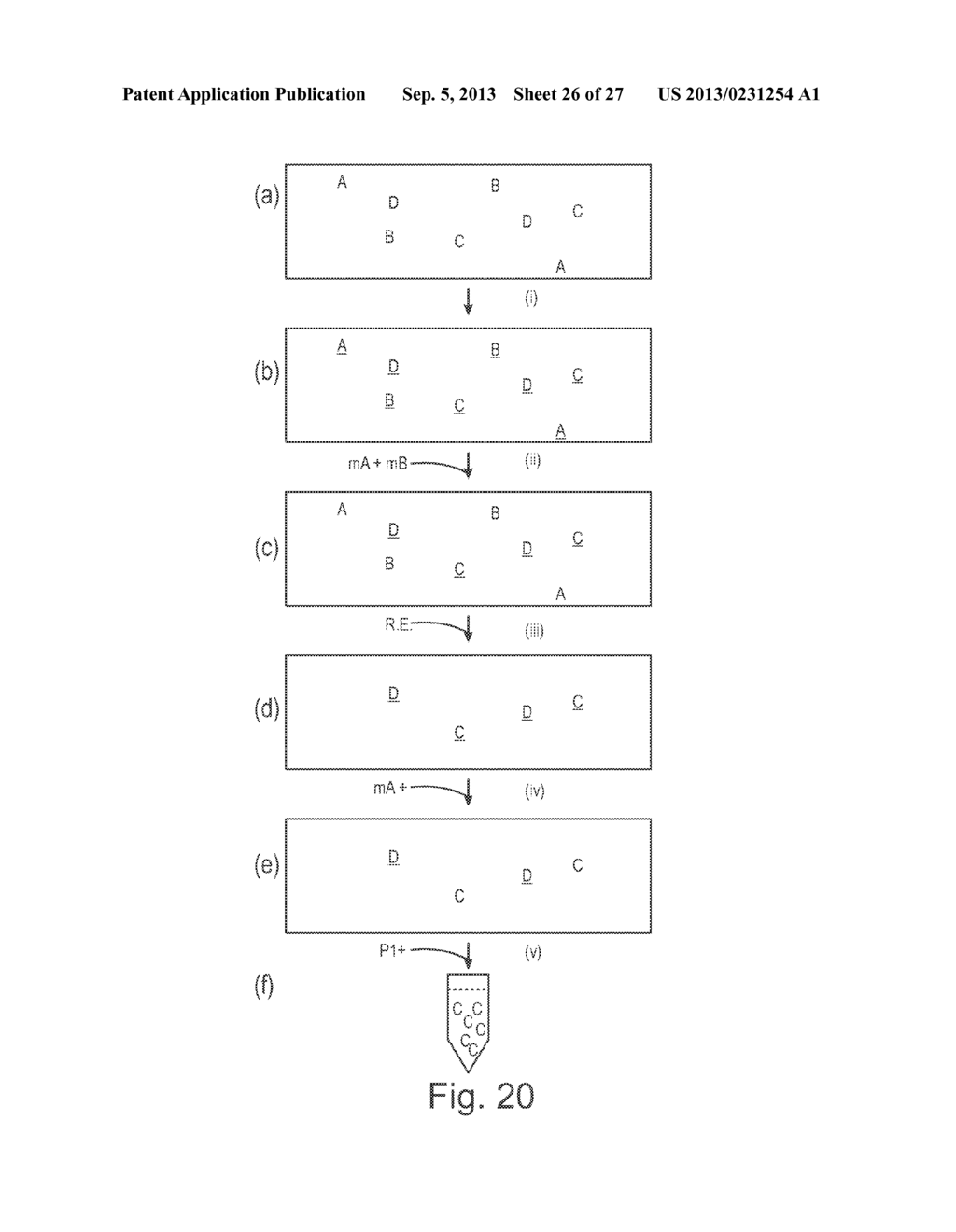 METHOD OF NUCLEIC ACID AMPLIFICATION - diagram, schematic, and image 27