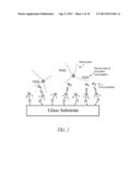 POLYMER SCAFFOLDS FOR ASSAY APPLICATIONS diagram and image