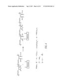 POLYMER SCAFFOLDS FOR ASSAY APPLICATIONS diagram and image