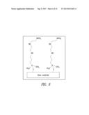 POLYMER SCAFFOLDS FOR ASSAY APPLICATIONS diagram and image