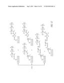 POLYMER SCAFFOLDS FOR ASSAY APPLICATIONS diagram and image