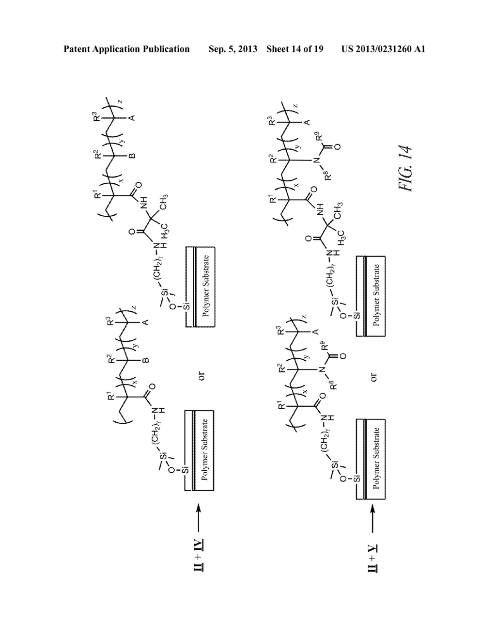 POLYMER SCAFFOLDS FOR ASSAY APPLICATIONS - diagram, schematic, and image 15