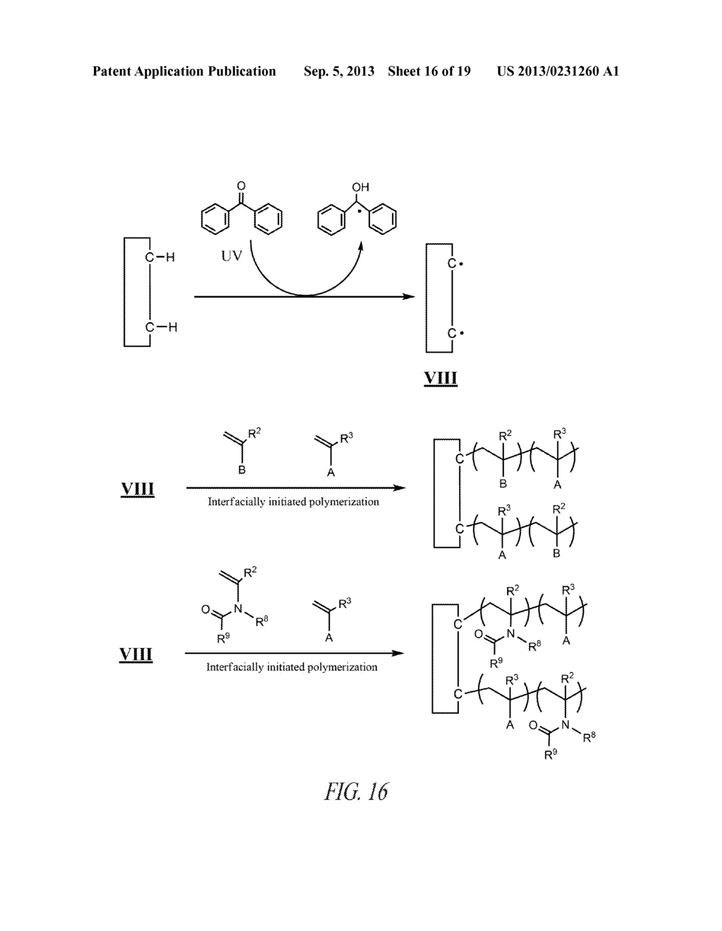 POLYMER SCAFFOLDS FOR ASSAY APPLICATIONS - diagram, schematic, and image 17