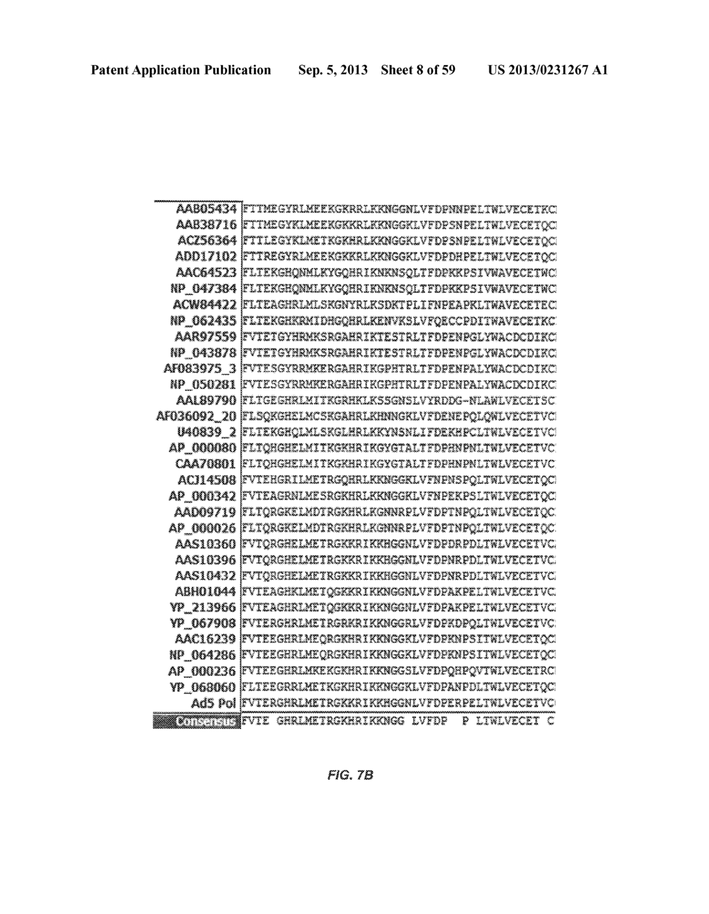 ADENOVIRAL ASSEMBLY METHOD - diagram, schematic, and image 09