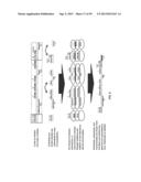 ADENOVIRAL ASSEMBLY METHOD diagram and image