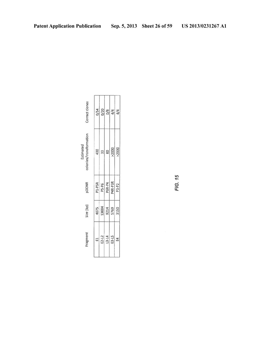 ADENOVIRAL ASSEMBLY METHOD - diagram, schematic, and image 27