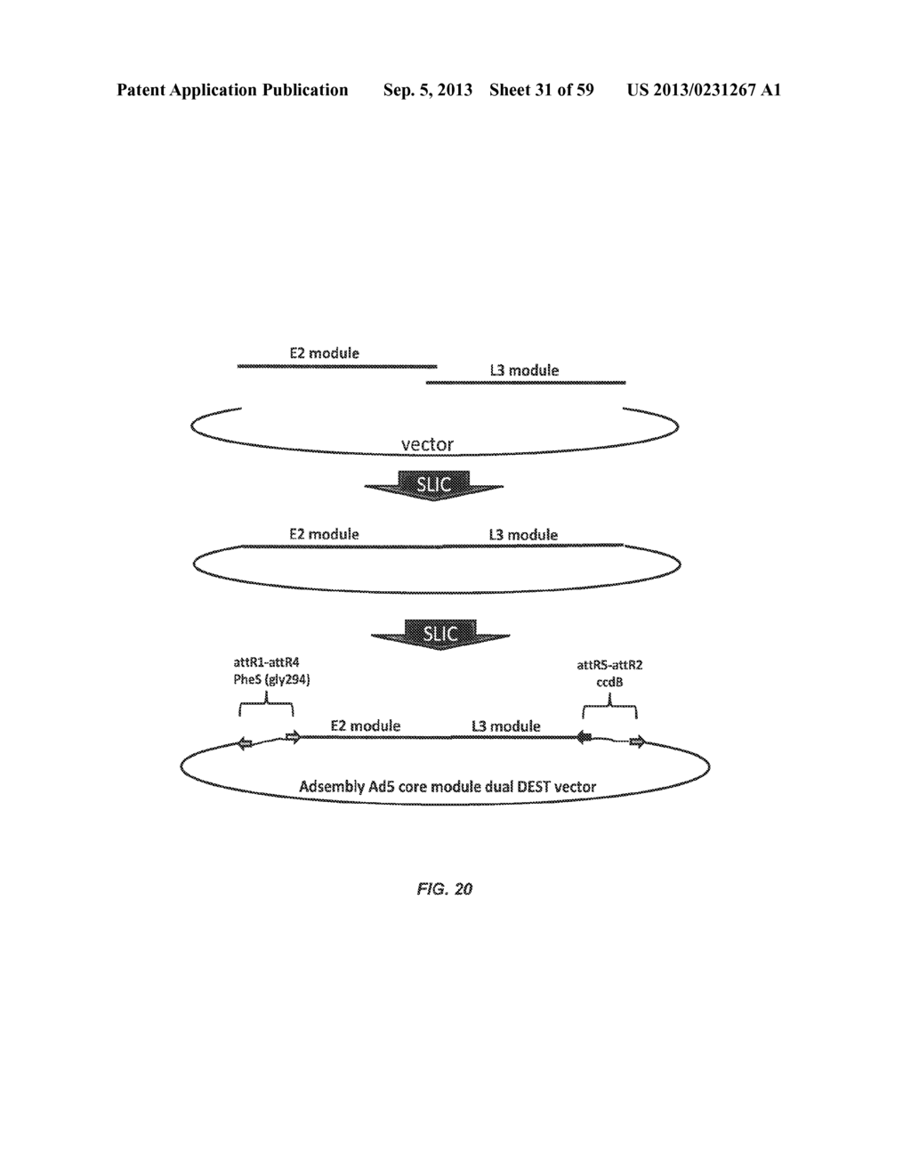 ADENOVIRAL ASSEMBLY METHOD - diagram, schematic, and image 32