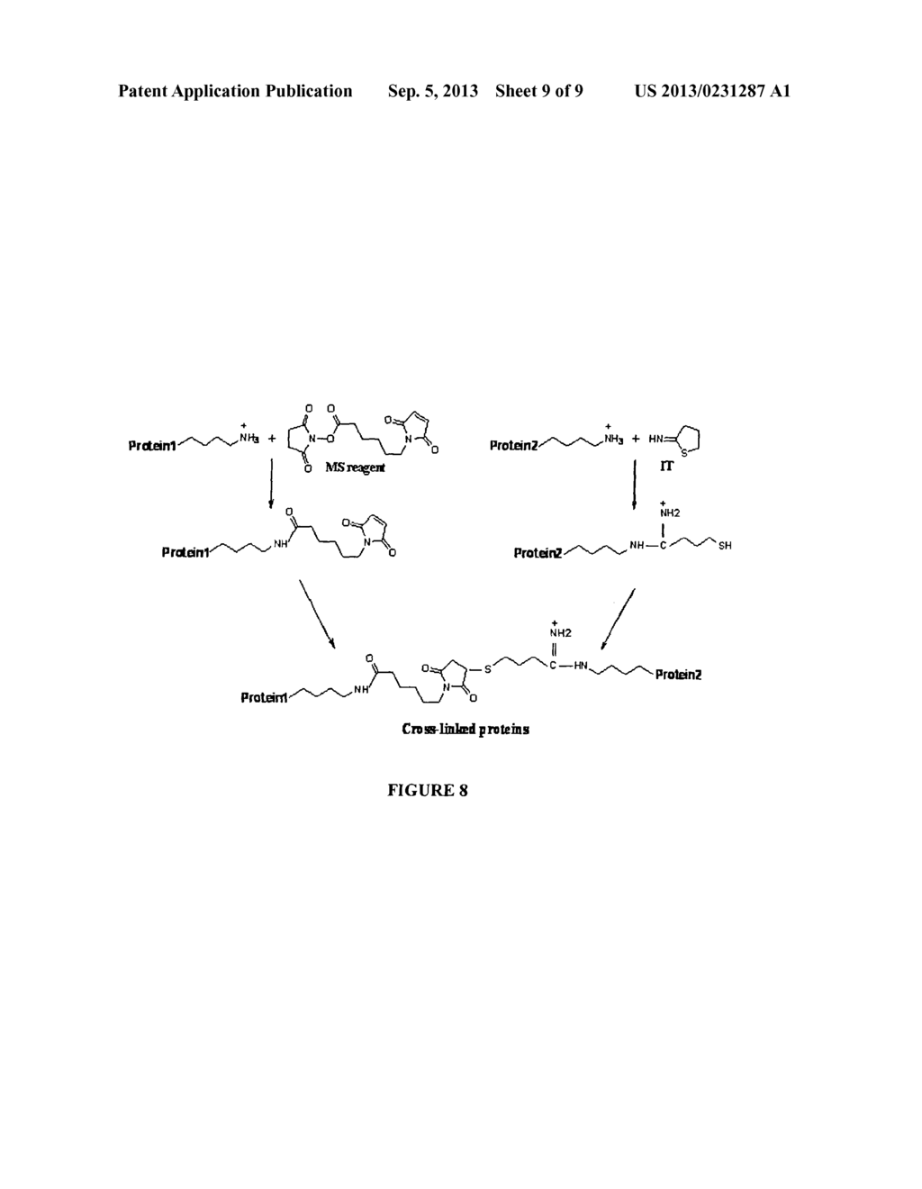 PEGYLATED ALBUMIN POLYMERS AND USES THEREOF - diagram, schematic, and image 10
