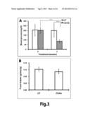 TREATMENT OF TYPE II DIABETES AND DIABETES-ASSOCIATED DISEASES WITH SAFE     CHEMICAL MITOCHONDRIAL UNCOUPLERS diagram and image