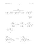 MODIFIED 4-PHENYL-PYRIDINE DERIVATIVES diagram and image