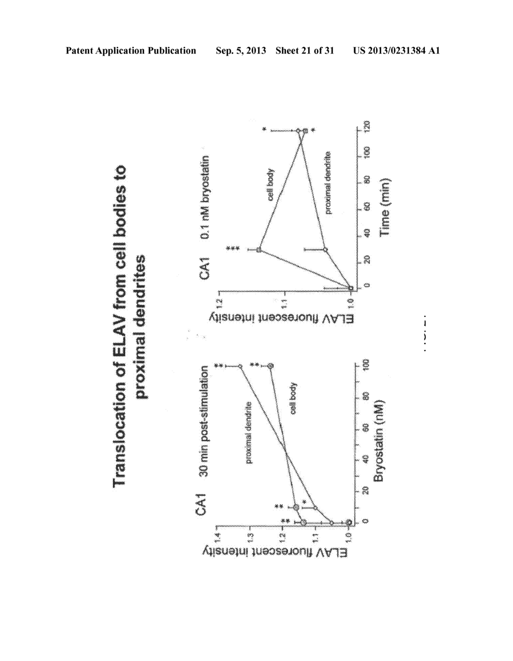 METHODS OF STIMULATING CELLULAR GROWTH, SYNAPTIC REMODELING AND     CONSOLIDATION OF LONG-TERM MEMORY - diagram, schematic, and image 22