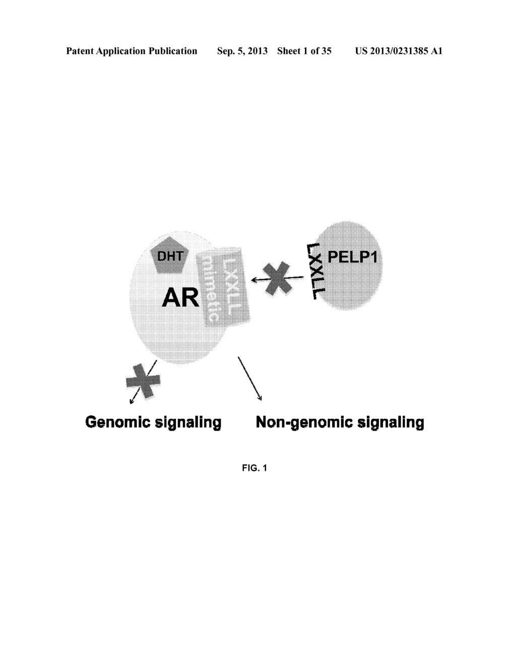 OLIGO-BENZAMIDE COMPOUNDS AND THEIR USE - diagram, schematic, and image 02