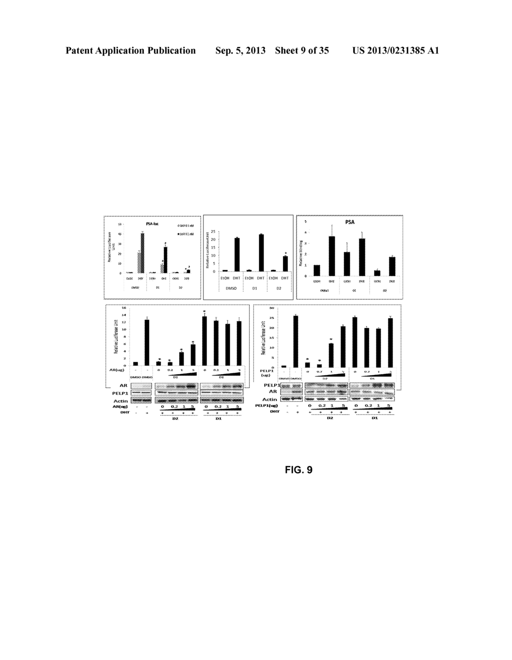 OLIGO-BENZAMIDE COMPOUNDS AND THEIR USE - diagram, schematic, and image 10