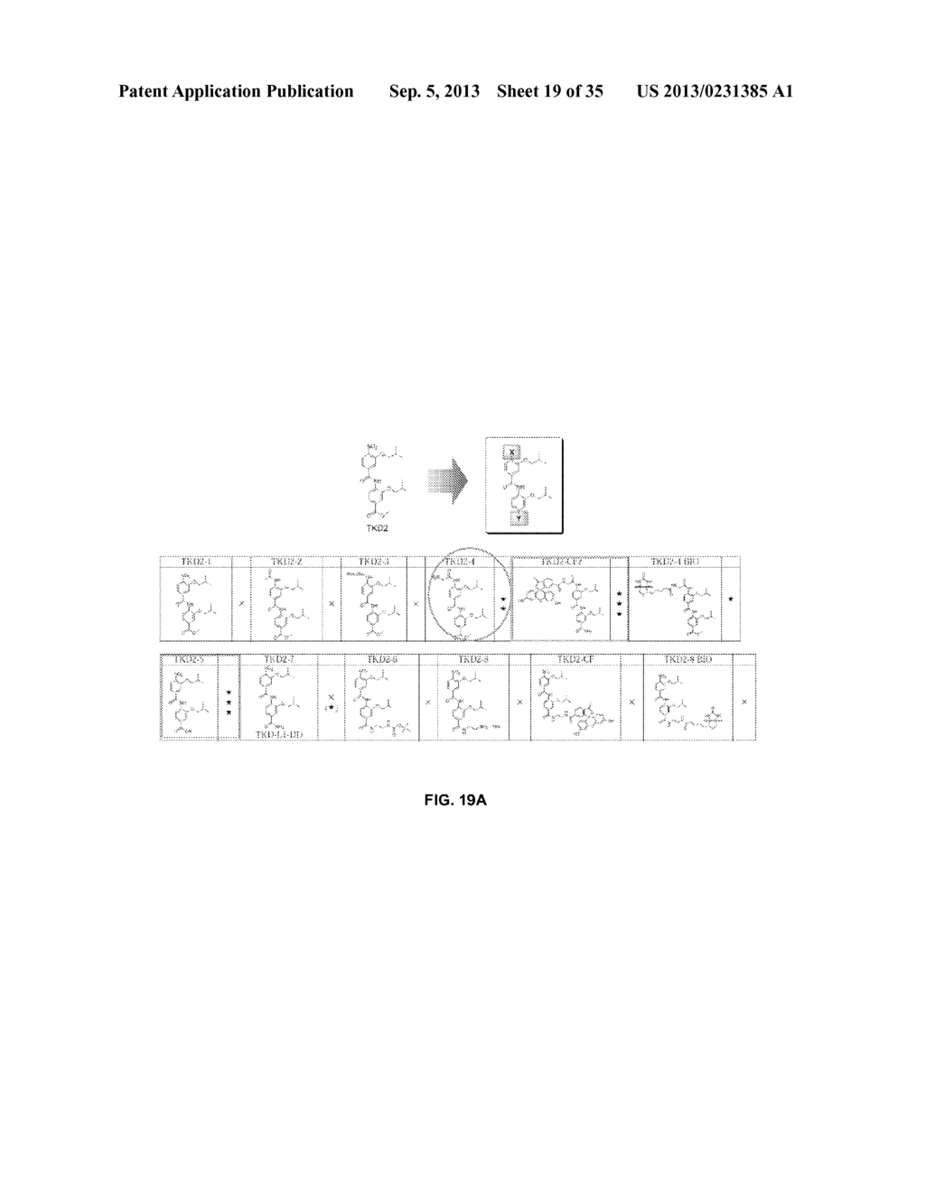 OLIGO-BENZAMIDE COMPOUNDS AND THEIR USE - diagram, schematic, and image 20