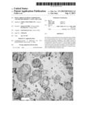 Polycarbonate Resin Composition and Molded Product Using the Same diagram and image