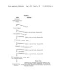 METHODS OF USE OF SOLUBLE CD24 FOR THERAPY OF RHEUMATOID ARTHRITIS diagram and image