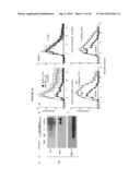 METHODS OF USE OF SOLUBLE CD24 FOR THERAPY OF RHEUMATOID ARTHRITIS diagram and image